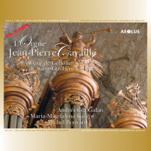 L'Orgue Jean-Pierre Cavaillé à l'Abbaye de Gellone à Saint-Guilhem-le-Désert